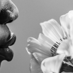White flowers representing fragrance ingredients in body care products